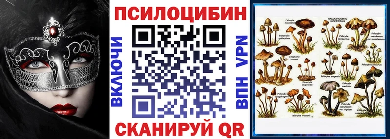 Галлюциногенные грибы Psilocybine cubensis  Ряжск 